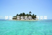 梦见一菜板鸡肉、梦见菜板上有鸡屎
