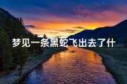 梦见一条黑蛇飞出去了什么意思_梦见一条黑蛇向自己爬过来