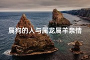 属狗的人与属龙属羊亲情,属狗的人与属龙属羊亲情怎么样
