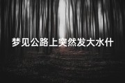 梦见公路上突然发大水什么意思、梦见公路被水淹没什么意思