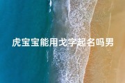 虎宝宝能用戈字起名吗男孩