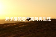 双子座的志气高吗男生还是女生—双子座志气高：他-她如何闪耀星空？
