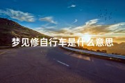 梦见修自行车是什么意思周公解梦—梦见自行车是什么意思周公解梦女人
