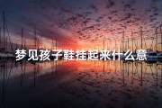 梦见孩子鞋挂起来什么意思_梦到孩子的鞋子