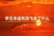 梦见寺庙有鸟飞走了什么预兆_梦见自己在寺庙里飞来飞去