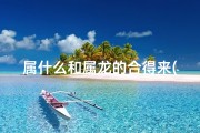 属什么和属龙的合得来(属龙的和属什么的合不来)