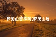 梦见山吉祥吗(梦见山是什么)