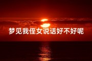 梦见我侄女说话好不好呢,梦见侄女侄子是什么关系