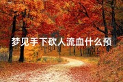 梦见手下砍人流血什么预兆、梦见自己手砍下来了