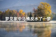梦见家中马桶反水了—梦到马桶反水