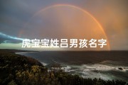虎宝宝姓吕男孩名字