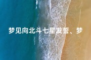 梦见向北斗七星发誓、梦见北斗七星移位