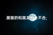 属猴的和属龙的合不合;属猴属龙情缘深，配对相合否？