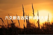 六爻断吉凶实例讲解大全图解、《六爻断吉凶实例详解大全集》