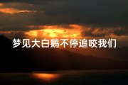 梦见大白鹅不停追咬我们—梦到大白鹅咬手预示着什么