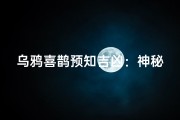 乌鸦喜鹊预知吉凶：神秘鸟语解未来之谜
