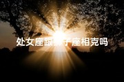 处女座跟狮子座相克吗