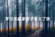 梦见亲戚家房子着火了烧完了;梦见亲戚家房子被烧