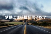 梦见上课摘枇杷果子吃了、女人梦见从树上摘枇杷吃