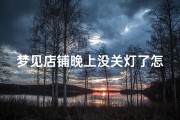 梦见店铺晚上没关灯了怎么回事;梦见店里没开灯