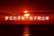 梦见右手有个虫子爬出来-梦见手内有虫子在里爬