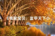 《钱家宝贝：富甲天下小富翁》