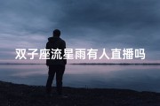 双子座流星雨有人直播吗—双子座流星雨直播腾讯新闻