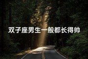 双子座男生一般都长得帅吗_双子座男生有多帅