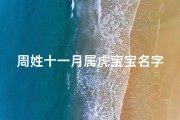 周姓十一月属虎宝宝名字