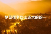 梦见很多比山还大的蛇—梦到比山还大的蛇