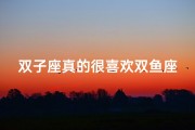 双子座真的很喜欢双鱼座吗