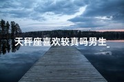 天秤座喜欢较真吗男生_《天秤座男生：为何如此较真？》