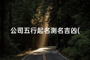 公司五行起名测名吉凶(公司名五行分析)