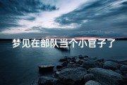 梦见在部队当个小官子了-梦见自己是部队长官
