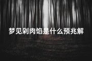 梦见剁肉馅是什么预兆解梦(梦见剁肉馅周公解梦)