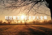 郑姓男宝宝取名字大全集虎;郑姓男宝宝取名字霸气