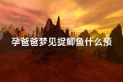 孕爸爸梦见捉鲫鱼什么预兆,孕爸爸梦见捉鲫鱼什么预兆呢