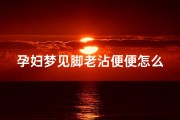 孕妇梦见脚老沾便便怎么回事,孕妇梦见脚老沾便便怎么回事儿