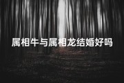 属相牛与属相龙结婚好吗_属牛属龙配婚，哪个更佳？