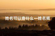 姓名可以查什么—姓名揭秘：一测便知寿命吉凶