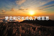 梦见和兄长成仇了啥意思;梦见自己与兄长打架