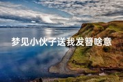 梦见小伙子送我发簪啥意思—梦见小伙子送我发簪啥意思啊