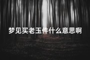 梦见买老玉件什么意思啊;梦见买老玉件什么意思啊周公解梦