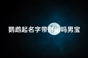 鹦鹉起名字带财运吗男宝宝;鹦鹉吉祥：财运亨通男宝宝新名推荐