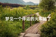 梦见一个停运的火车站了_梦见火车停止了