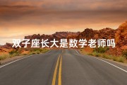 双子座长大是数学老师吗_双子座长大竟成数学老师？揭秘双子的独特人生轨迹