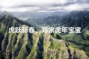 虎跃新春，郑家虎年宝宝美名揭晓