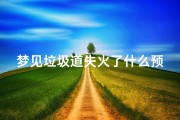 梦见垃圾道失火了什么预兆—梦见火烧垃圾堆