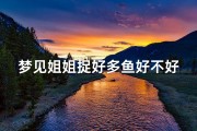 梦见姐姐捉好多鱼好不好—梦见自己的姐姐逮捕