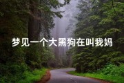梦见一个大黑狗在叫我妈妈(梦见一个大黑狗在叫我妈妈了)
